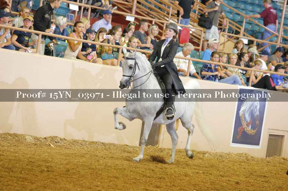 Proof 15YN_03971