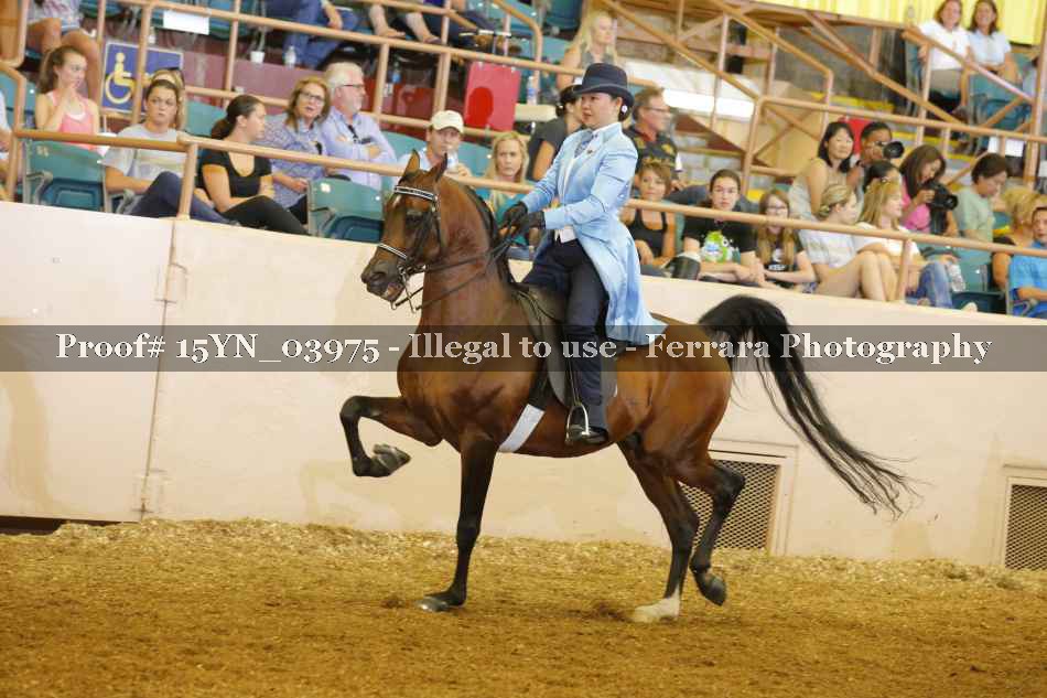 Proof 15YN_03975