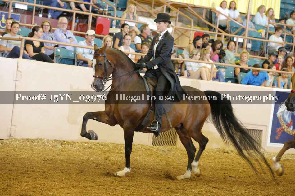 Proof 15YN_03976