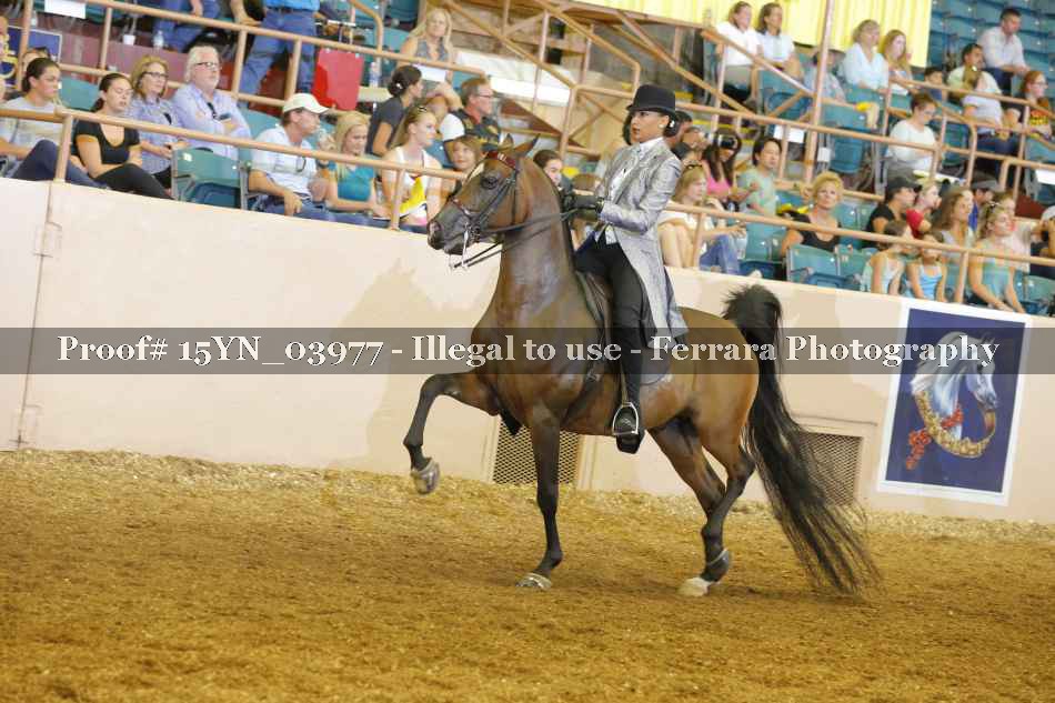 Proof 15YN_03977