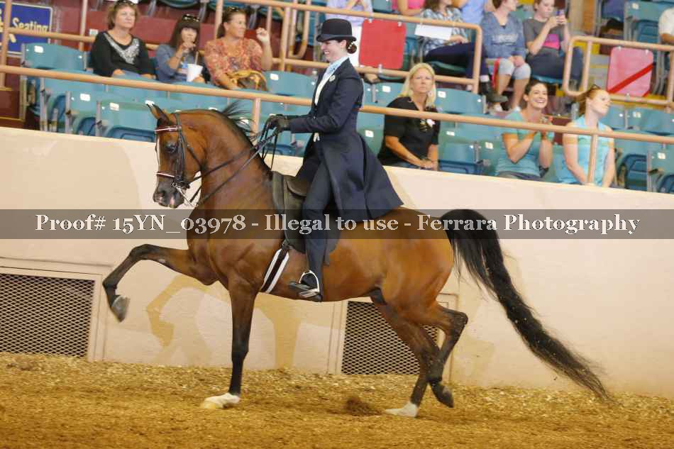 Proof 15YN_03978