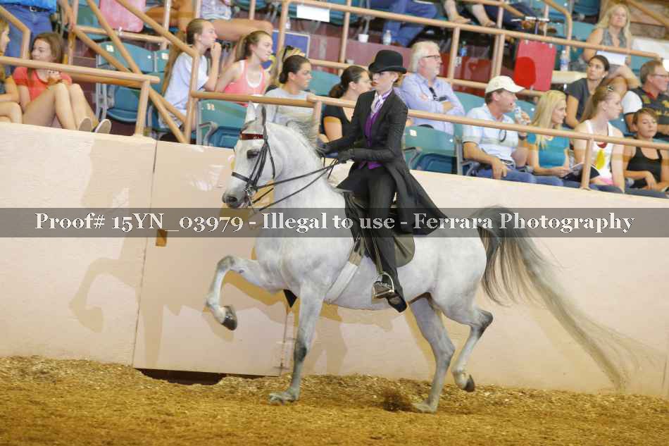 Proof 15YN_03979