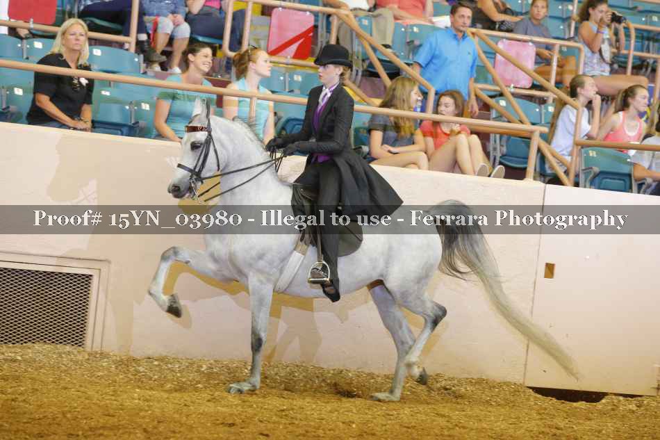 Proof 15YN_03980