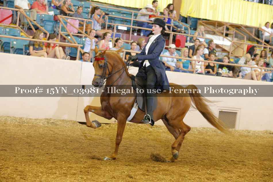 Proof 15YN_03981