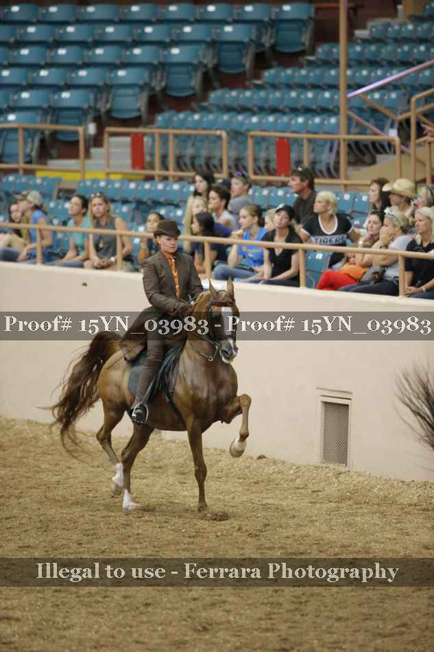 Proof 15YN_03983