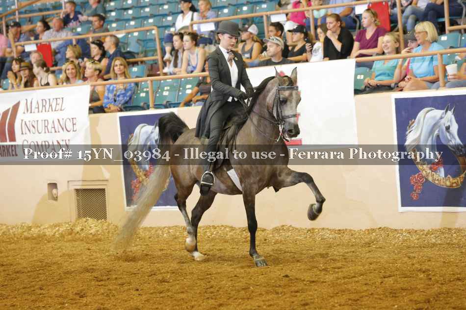 Proof 15YN_03984