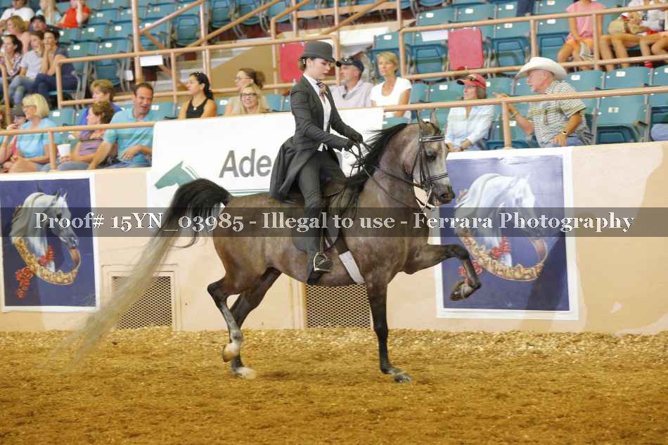 Proof 15YN_03985