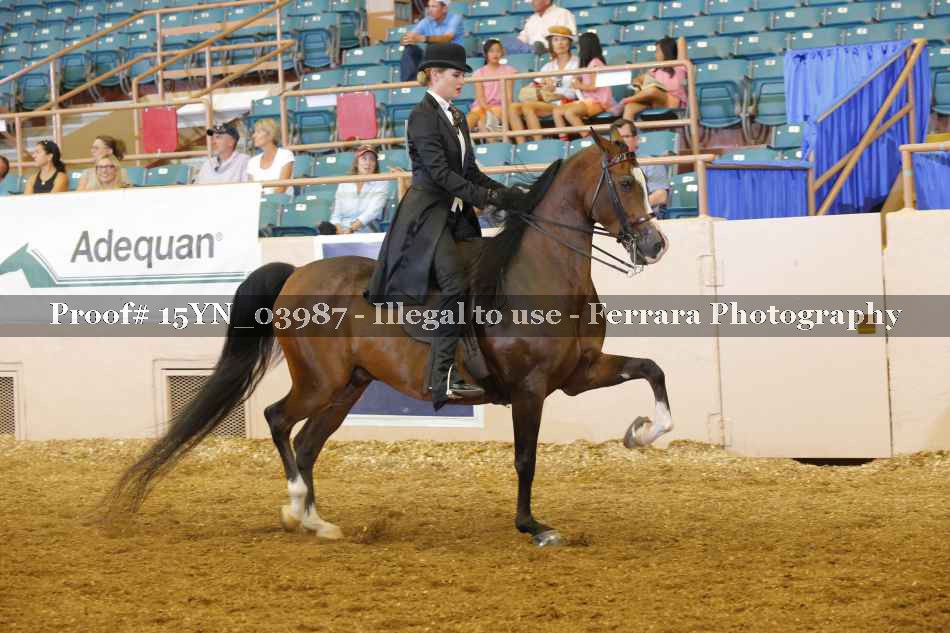 Proof 15YN_03987