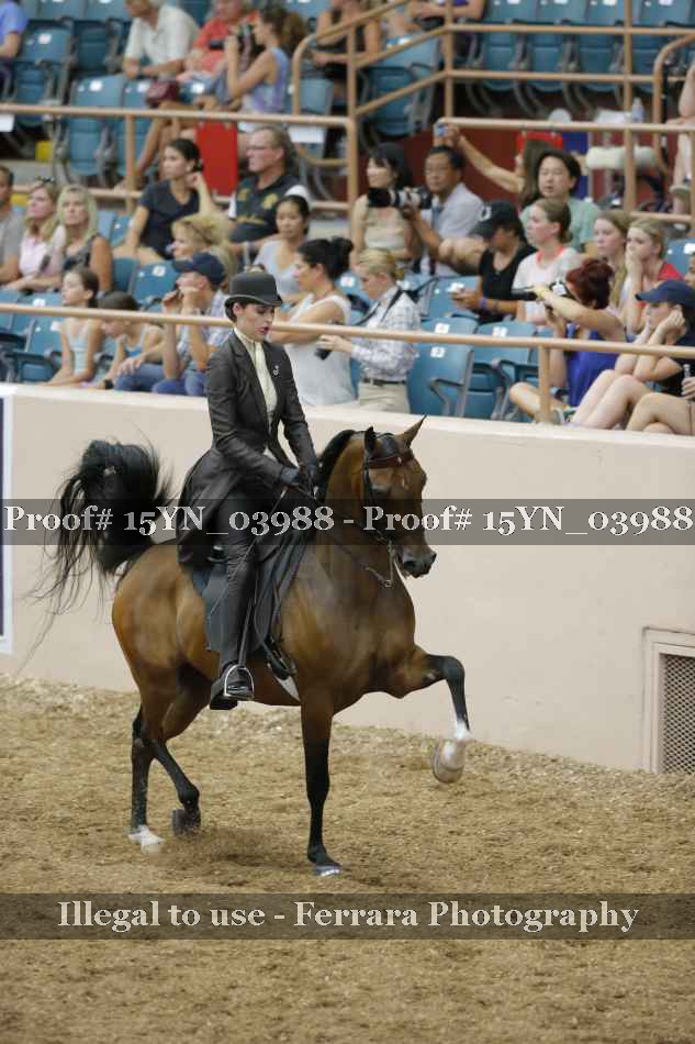 Proof 15YN_03988