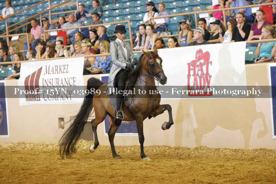 Proof 15YN_03989