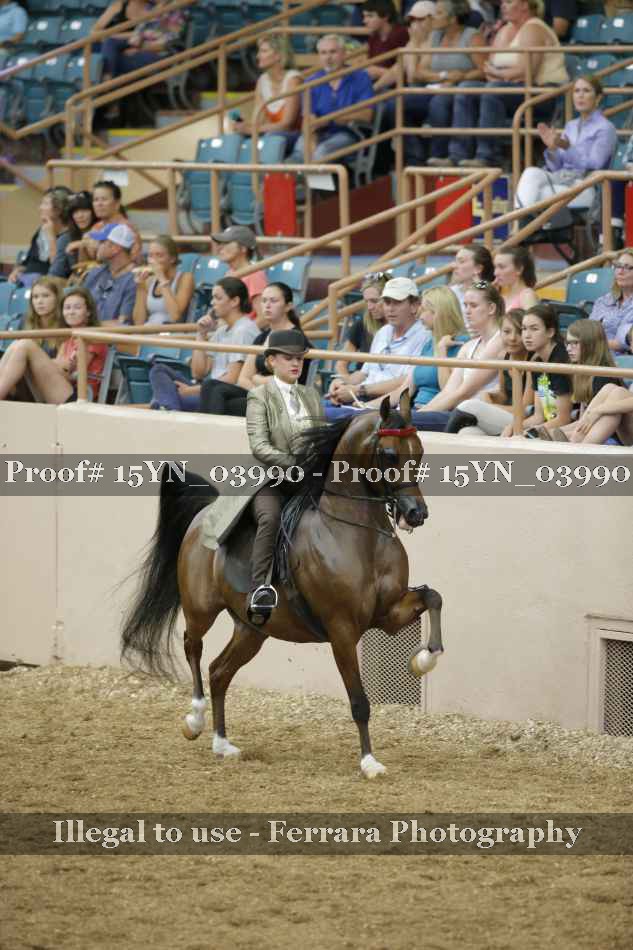 Proof 15YN_03990