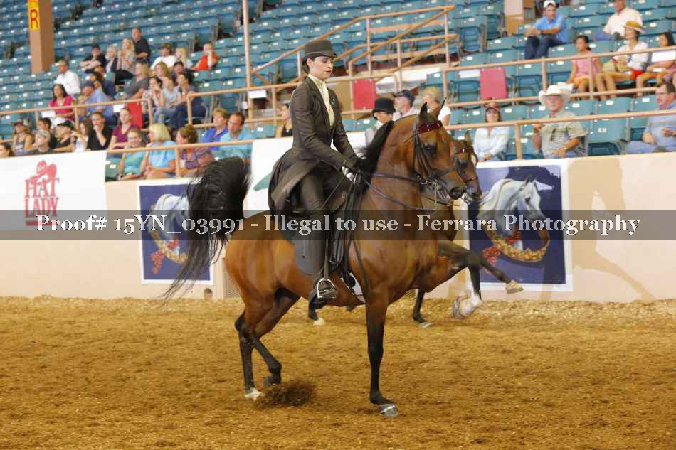 Proof 15YN_03991