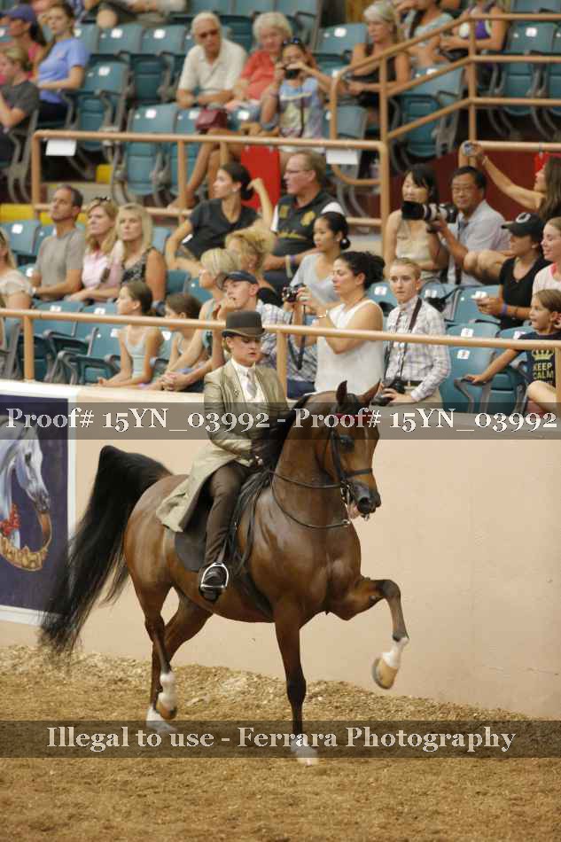 Proof 15YN_03992