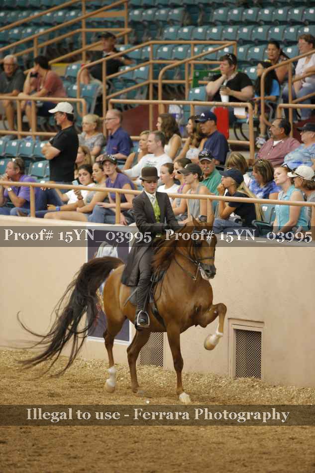 Proof 15YN_03995