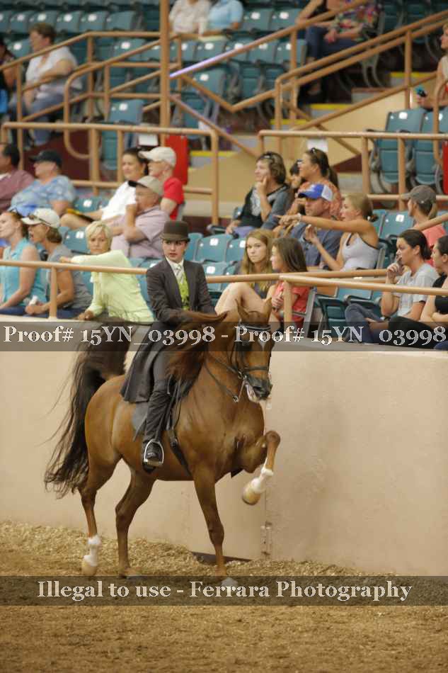 Proof 15YN_03998