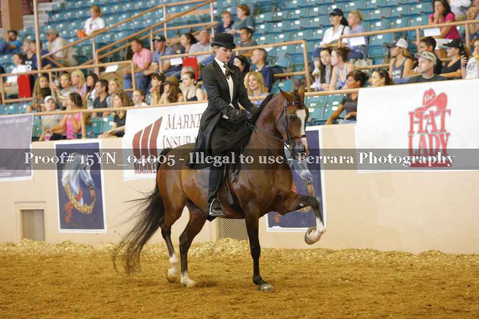 Proof 15YN_04005