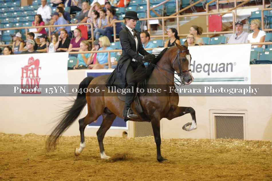 Proof 15YN_04006