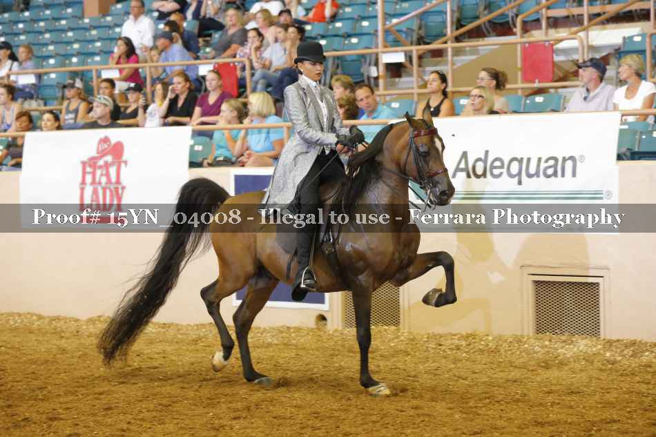 Proof 15YN_04008