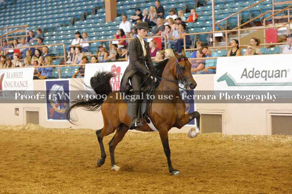 Proof 15YN_04009