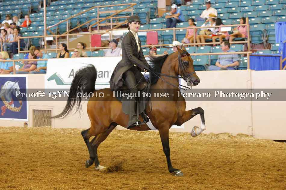 Proof 15YN_04010