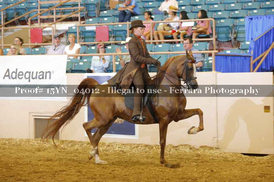 Proof 15YN_04012
