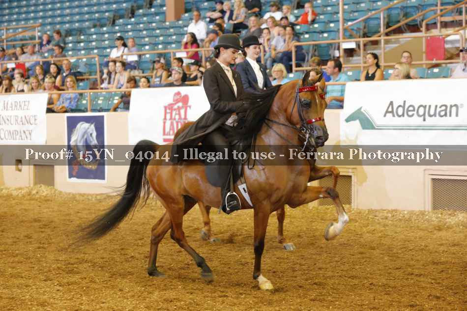 Proof 15YN_04014