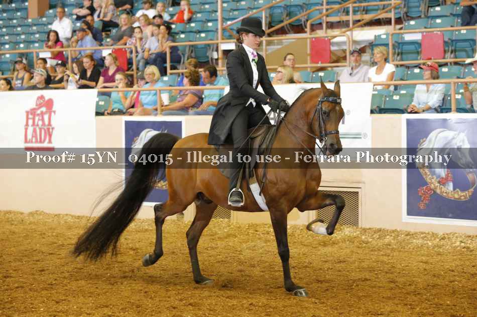 Proof 15YN_04015