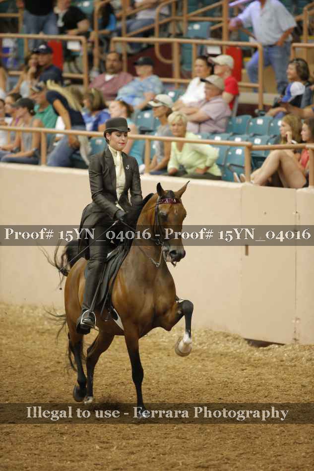 Proof 15YN_04016