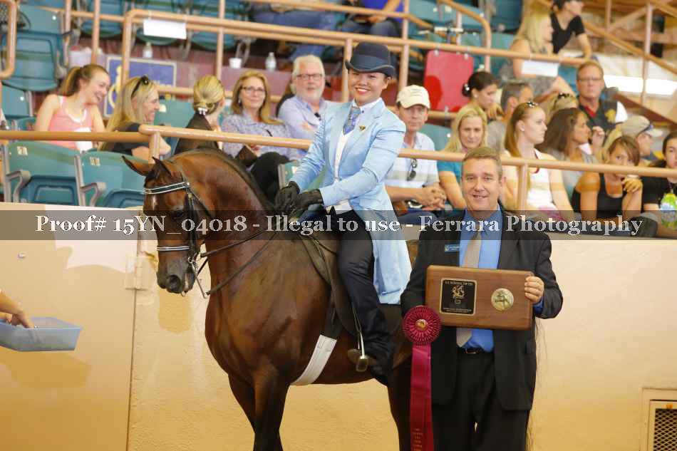 Proof 15YN_04018