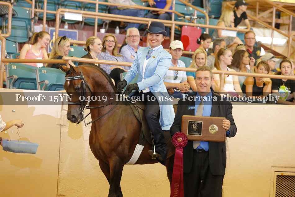 Proof 15YN_04019