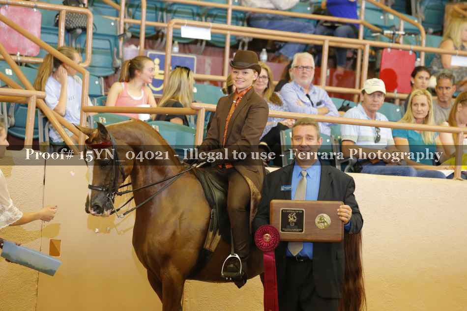 Proof 15YN_04021
