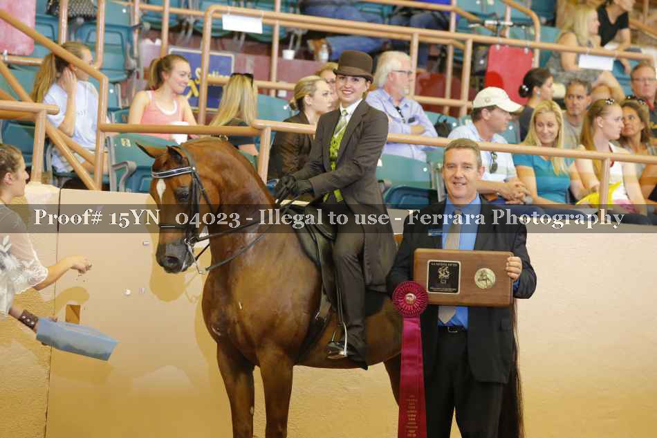 Proof 15YN_04023