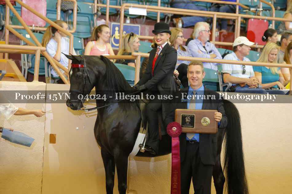 Proof 15YN_04024