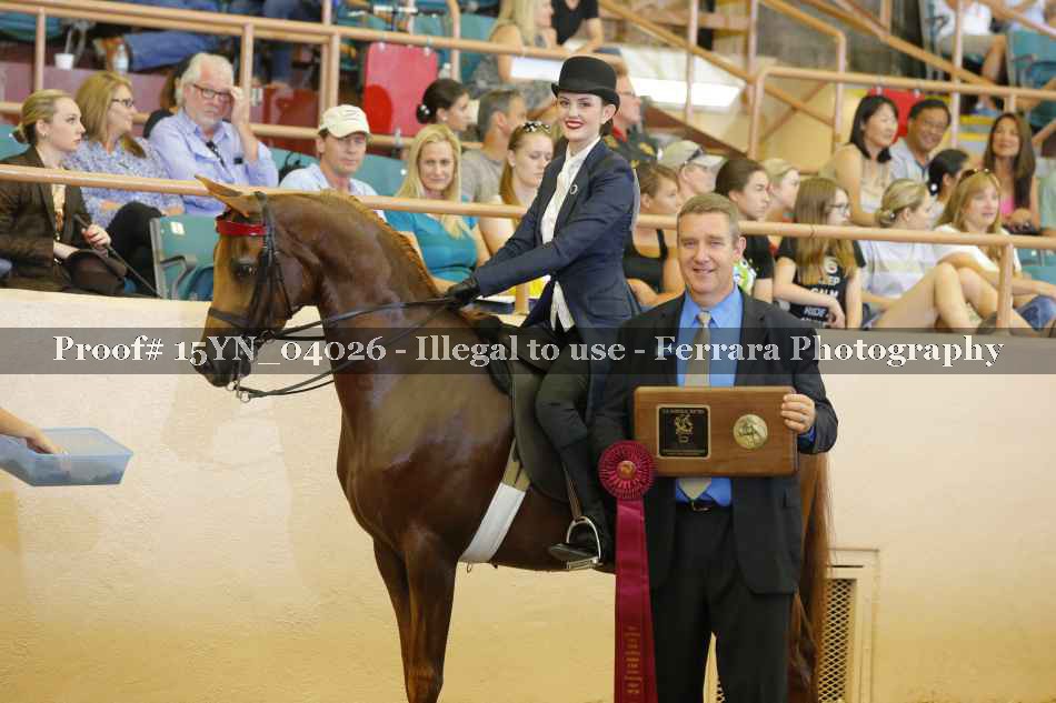 Proof 15YN_04026