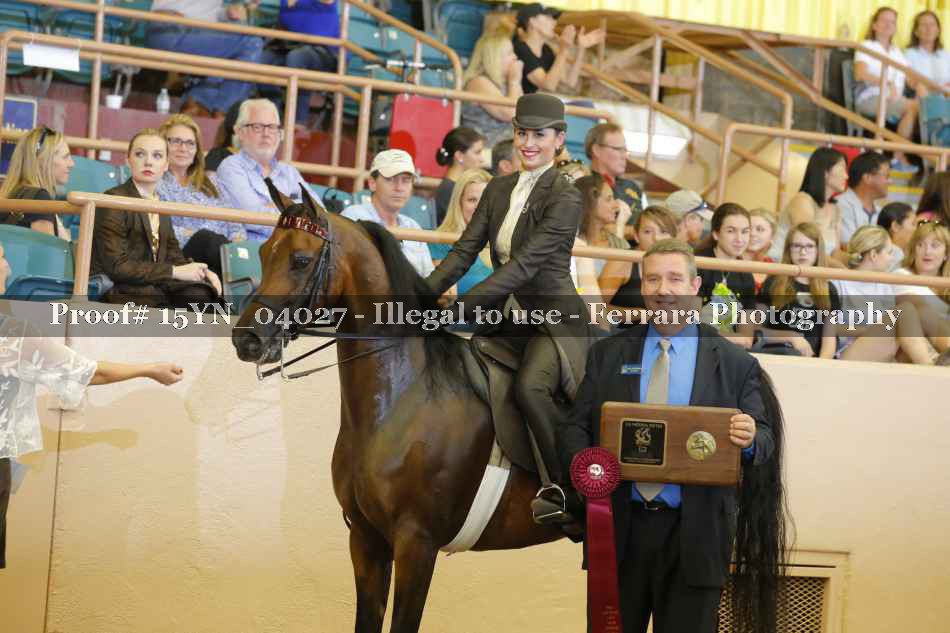 Proof 15YN_04027