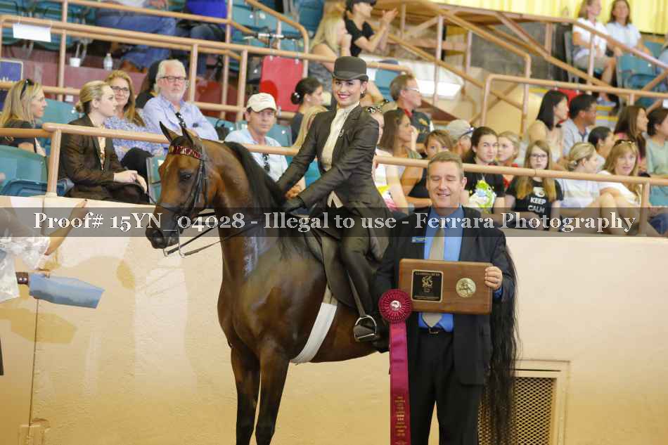 Proof 15YN_04028