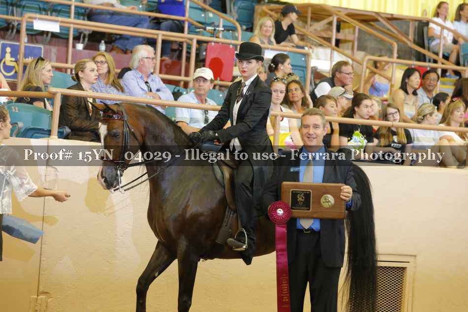 Proof 15YN_04029