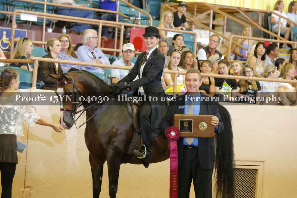 Proof 15YN_04030