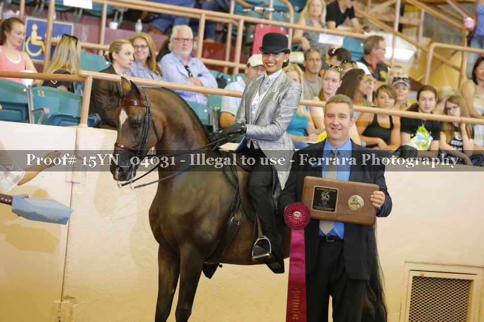 Proof 15YN_04031