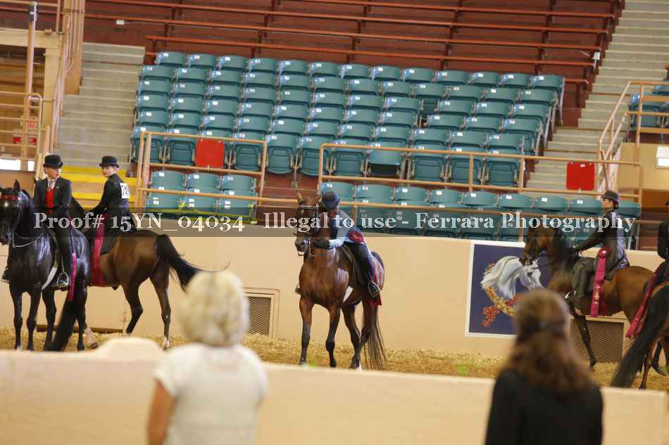 Proof 15YN_04034