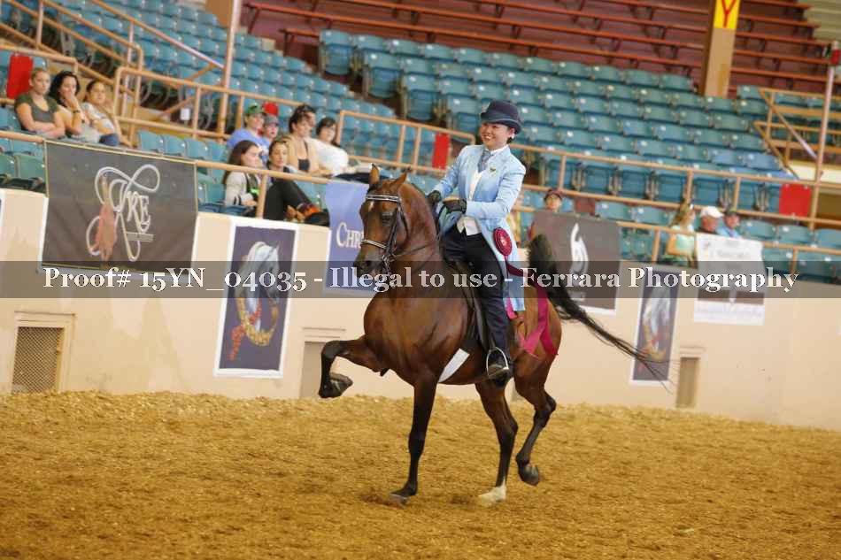 Proof 15YN_04035