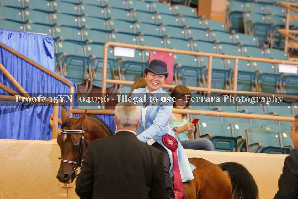 Proof 15YN_04036