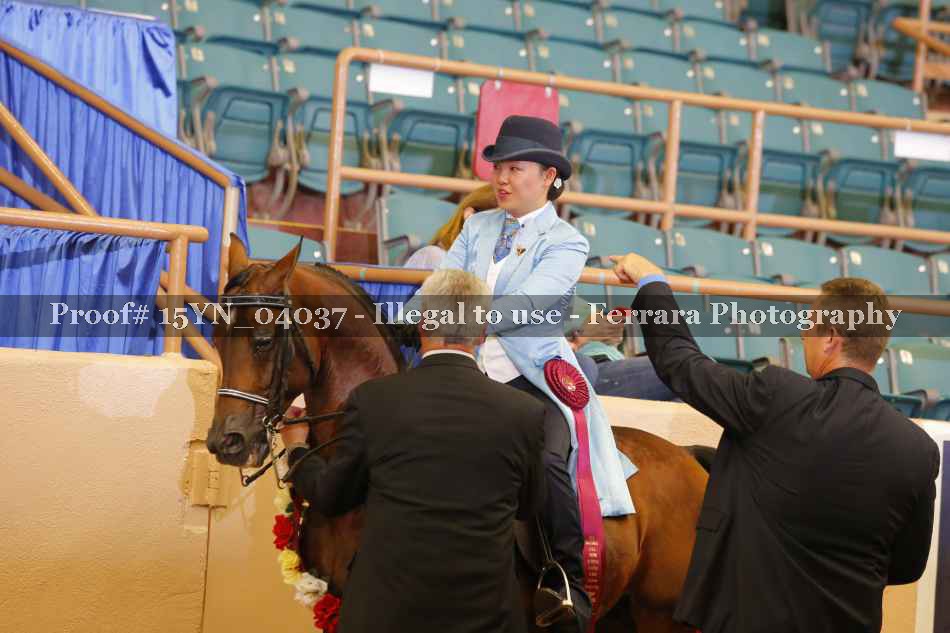 Proof 15YN_04037