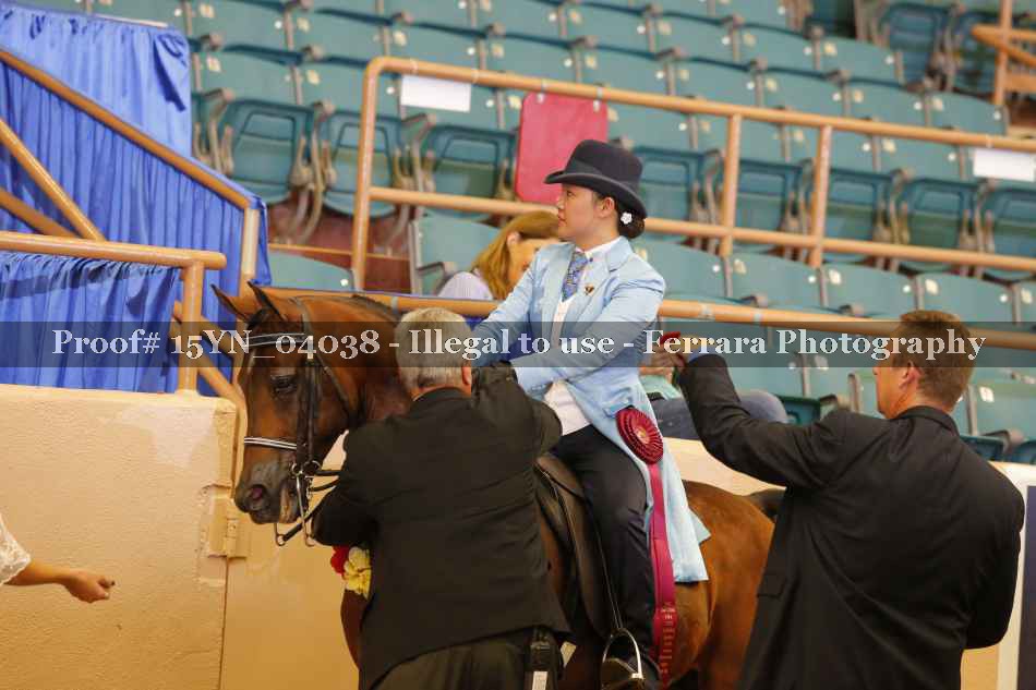Proof 15YN_04038