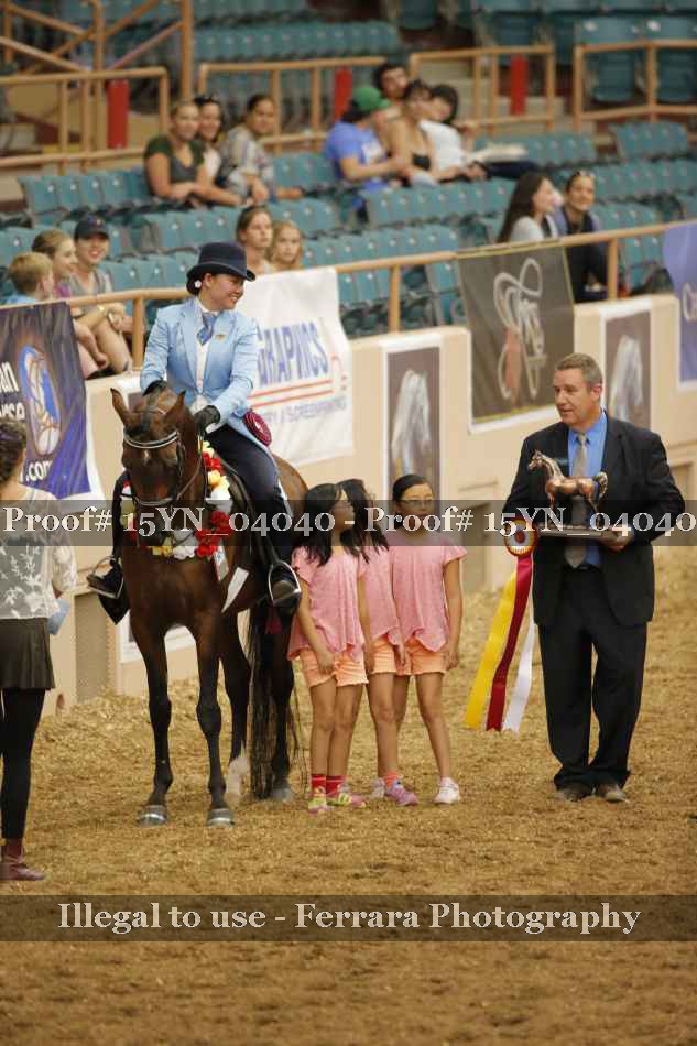 Proof 15YN_04040