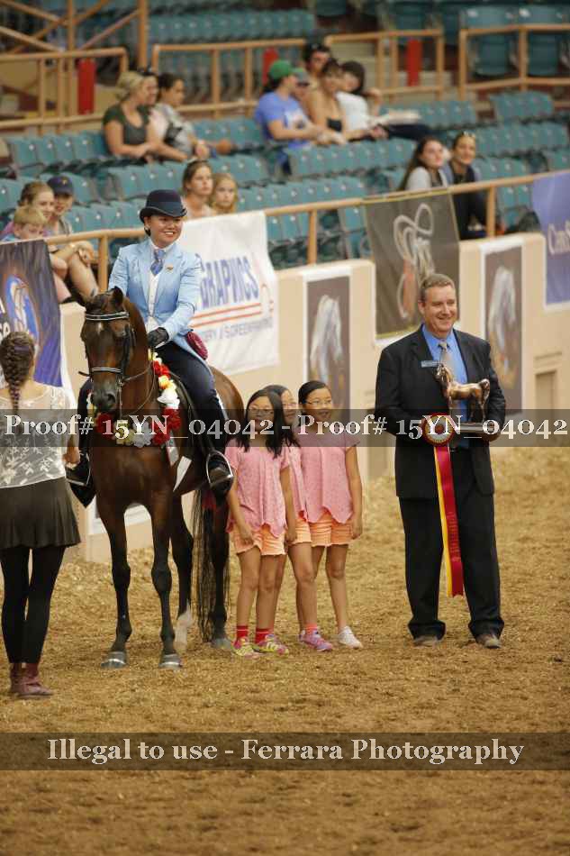Proof 15YN_04042