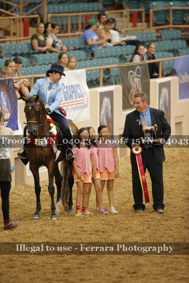 Proof 15YN_04043