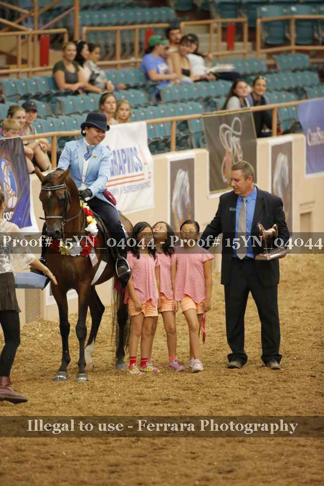 Proof 15YN_04044
