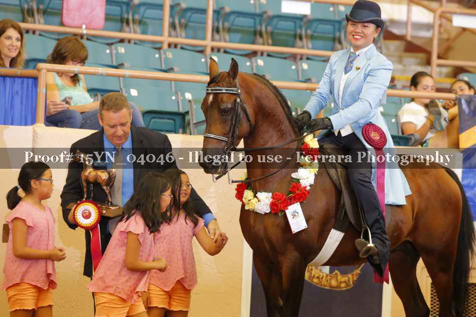 Proof 15YN_04046