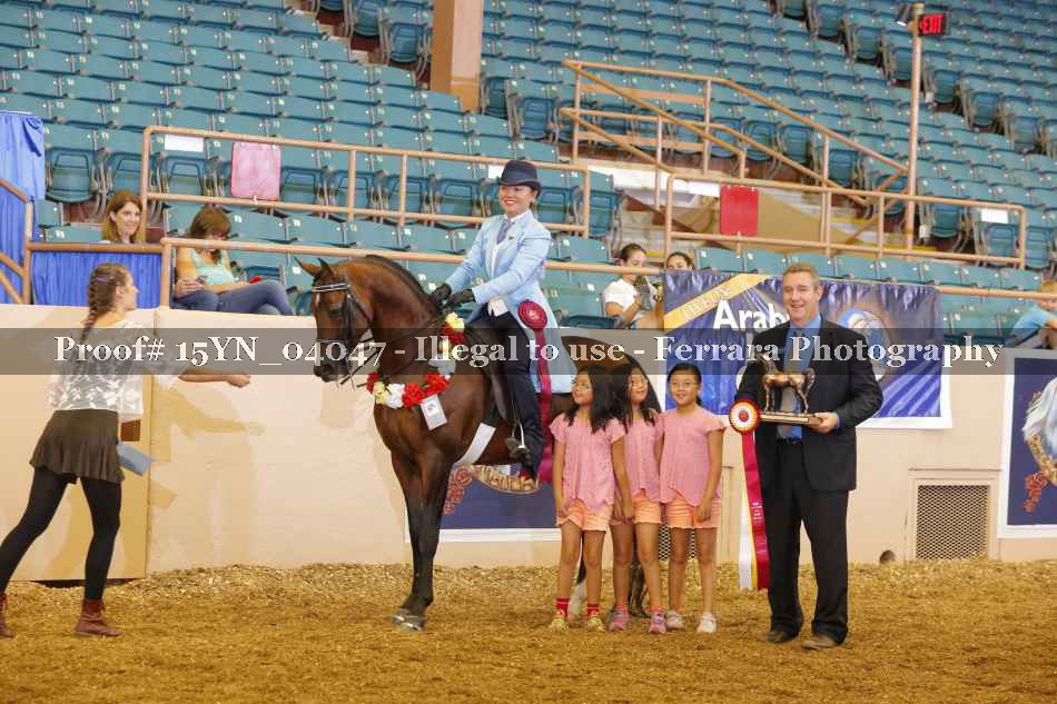 Proof 15YN_04047
